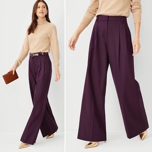 Ann Taylor Wide-Leg Trousers in Plum